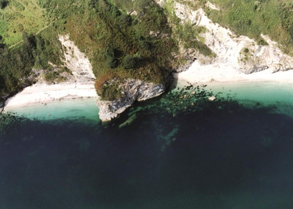 Cliff Head Hotel 卡里翁湾 客房 照片