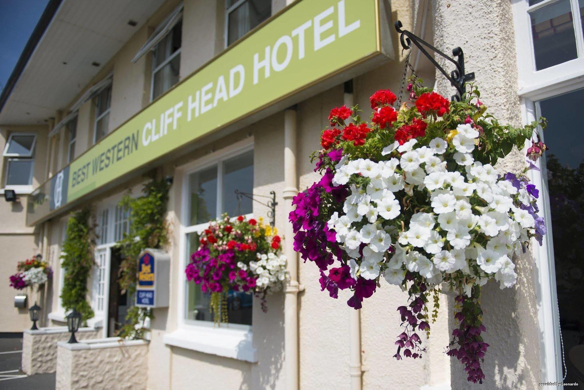 Cliff Head Hotel 卡里翁湾 外观 照片